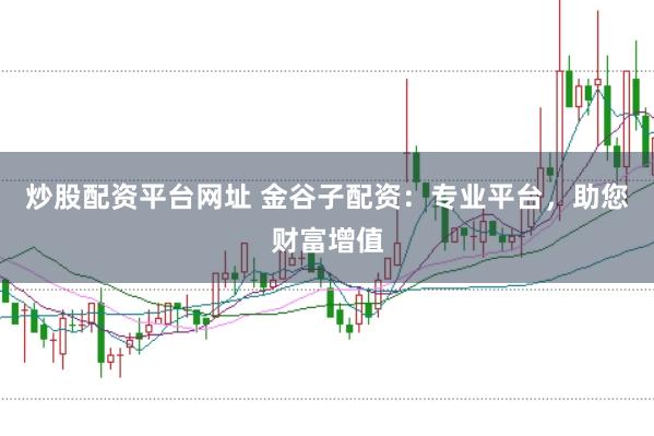 炒股配资平台网址 金谷子配资：专业平台，助您财富增值