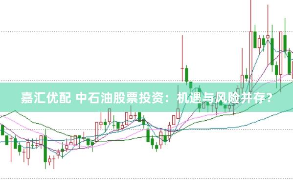 嘉汇优配 中石油股票投资：机遇与风险并存？