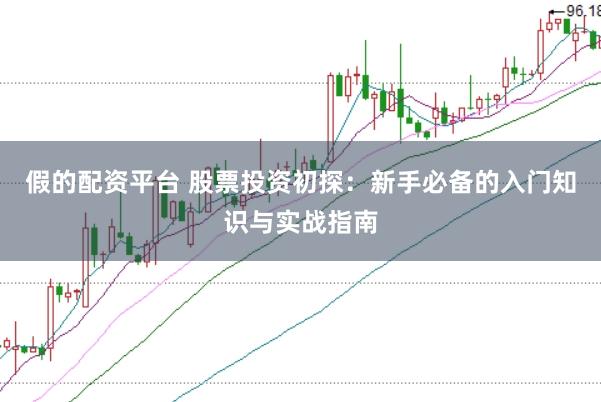 假的配资平台 股票投资初探：新手必备的入门知识与实战指南