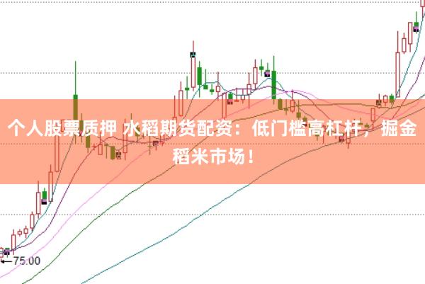 个人股票质押 水稻期货配资：低门槛高杠杆，掘金稻米市场！