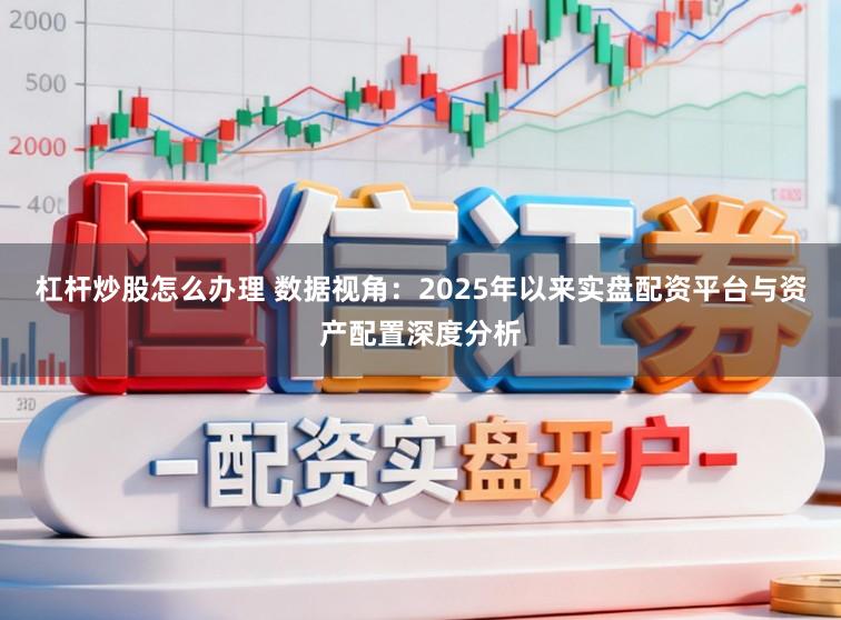 杠杆炒股怎么办理 数据视角：2025年以来实盘配资平台与资产配置深度分析