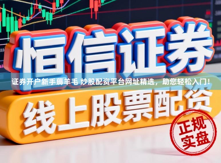证券开户新手薅羊毛 炒股配资平台网址精选，助您轻松入门！